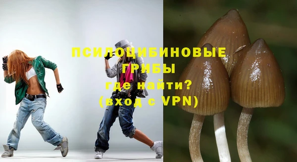 PSILOCYBIN Армянск