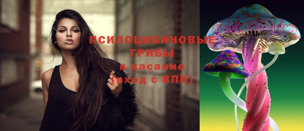 эйфоретик Аркадак