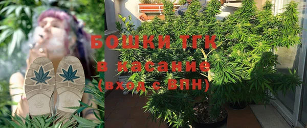 PSILOCYBIN Армянск