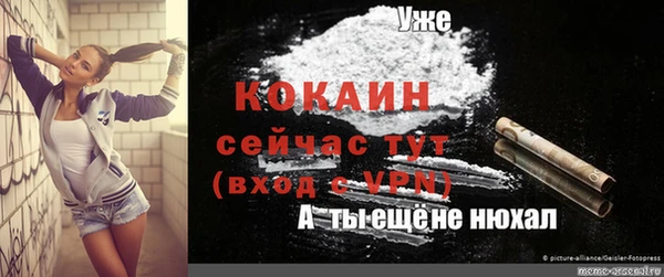 эйфоретик Аркадак