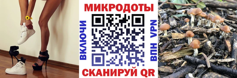 Галлюциногенные грибы мицелий  mega   Белокуриха  где можно купить наркотик 
